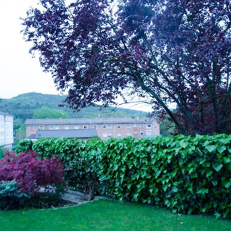 B&B Zaldu Estella Exteriör bild