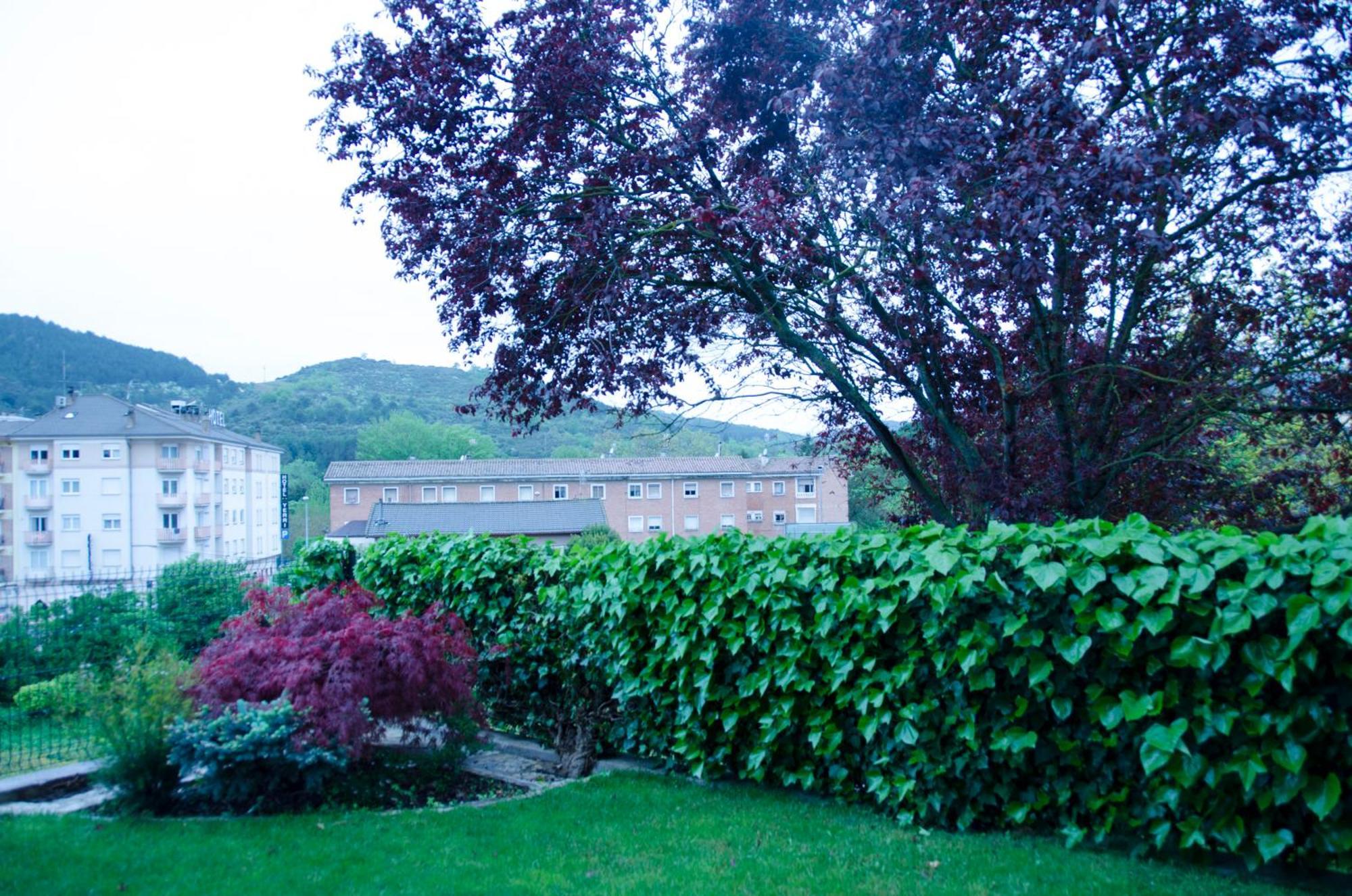 B&B Zaldu Estella Exteriör bild